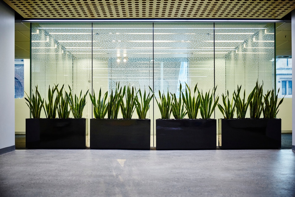 Interior,Photography,Of,Corporate,Office,Entrance,Lobby,With,A,Laser
